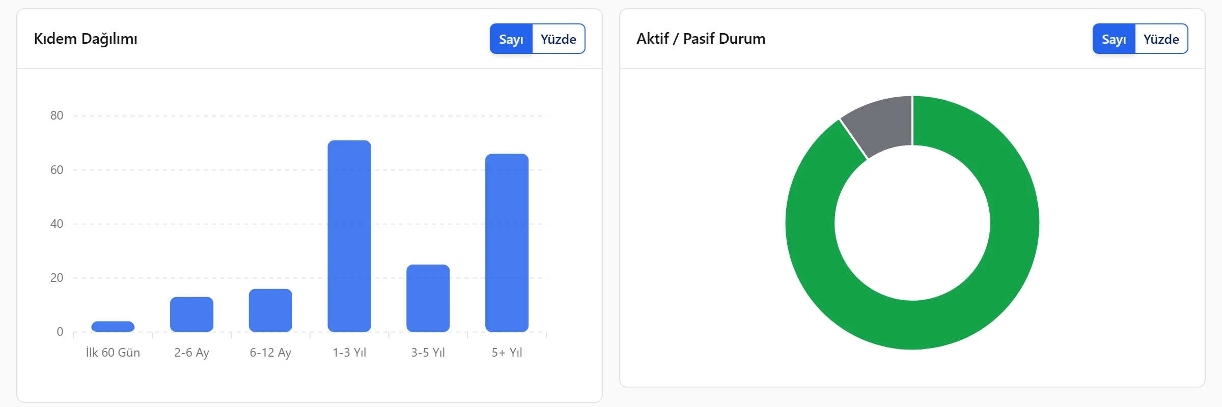 Kıdem dağılımı sütun grafiği ve aktif–pasif çalışan oranı halka grafiği.